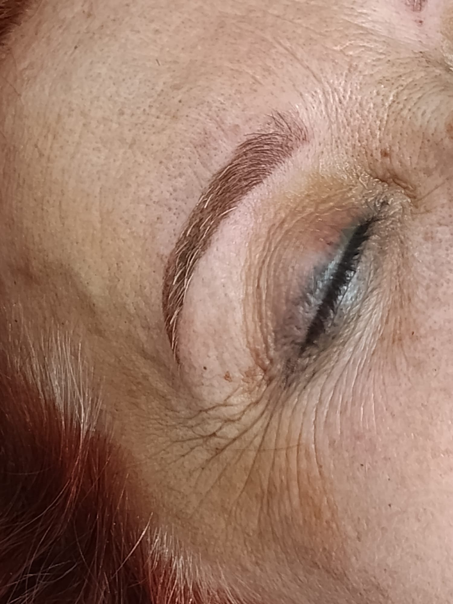 Micropigmentacion Cejas